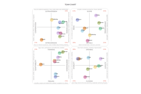 Multifactor Personality Profile – TCC online – team output reports