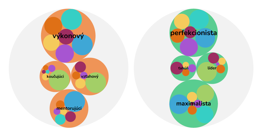 Prehľad výsledkov jednotlivých členov tímu